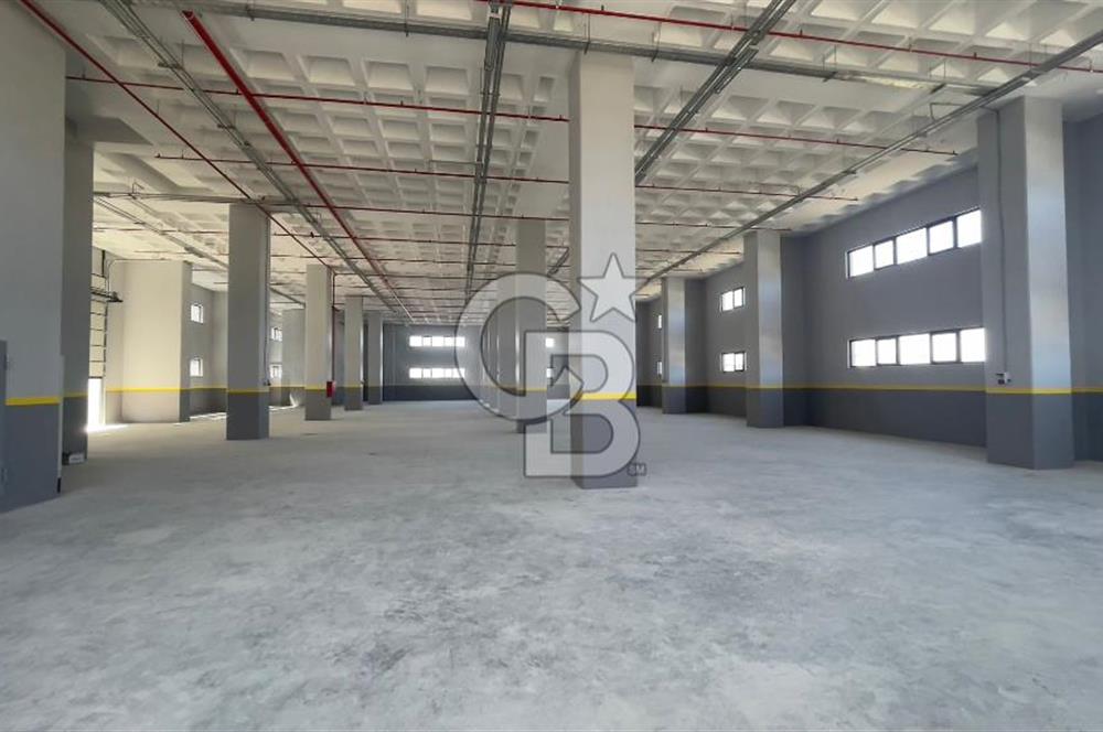 Deliklikaya Teskoop 7750m2 Satılık Müstakil Fabrika