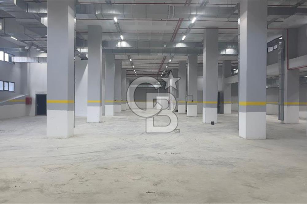 Deliklikaya Teskoop 7750m2 Satılık Müstakil Fabrika