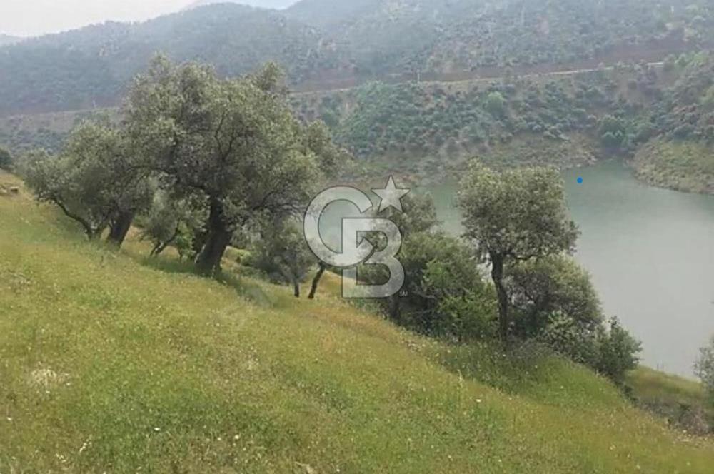 Bayındır'da Çift Yola Cepheli SatılıK 2263 M2 Zeytinlik