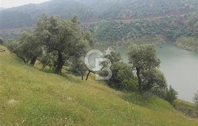 Bayındır'da Çift Yola Cepheli SatılıK 2263 M2 Zeytinlik
