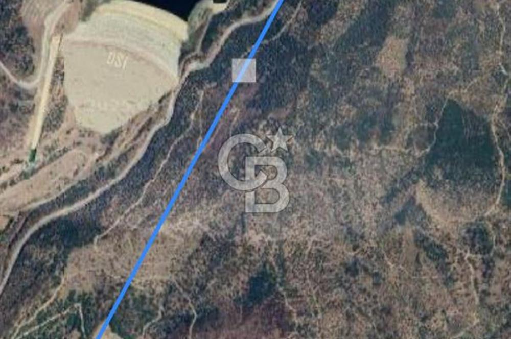 Bayındır'da Çift Yola Cepheli SatılıK 2263 M2 Zeytinlik