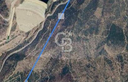 Bayındır'da Çift Yola Cepheli SatılıK 2263 M2 Zeytinlik