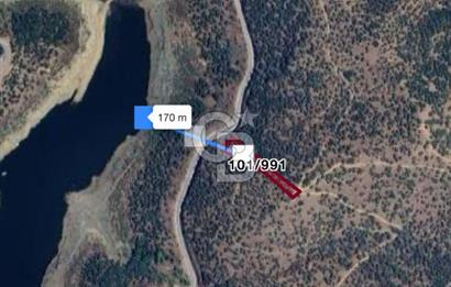 Bayındır'da Çift Yola Cepheli SatılıK 2263 M2 Zeytinlik