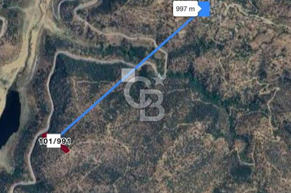 Bayındır'da Çift Yola Cepheli SatılıK 2263 M2 Zeytinlik