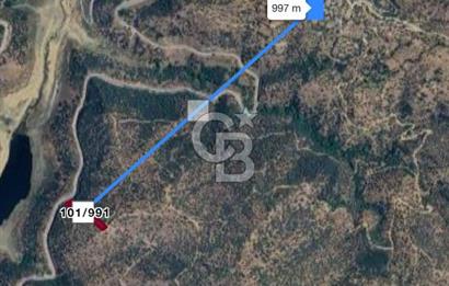 Bayındır'da Çift Yola Cepheli SatılıK 2263 M2 Zeytinlik