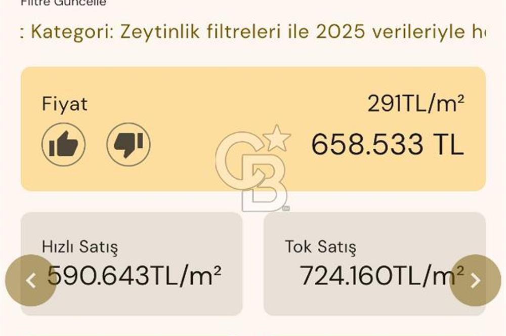 Bayındır'da Çift Yola Cepheli SatılıK 2263 M2 Zeytinlik