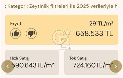 Bayındır'da Çift Yola Cepheli SatılıK 2263 M2 Zeytinlik