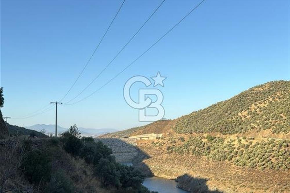 Bayındır'da Çift Yola Cepheli SatılıK 2263 M2 Zeytinlik