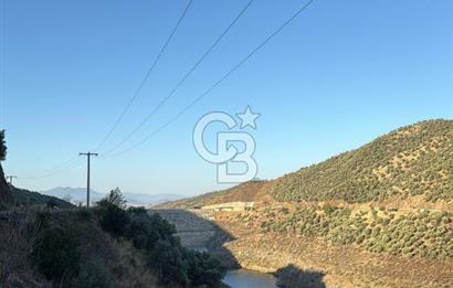 Bayındır'da Çift Yola Cepheli SatılıK 2263 M2 Zeytinlik