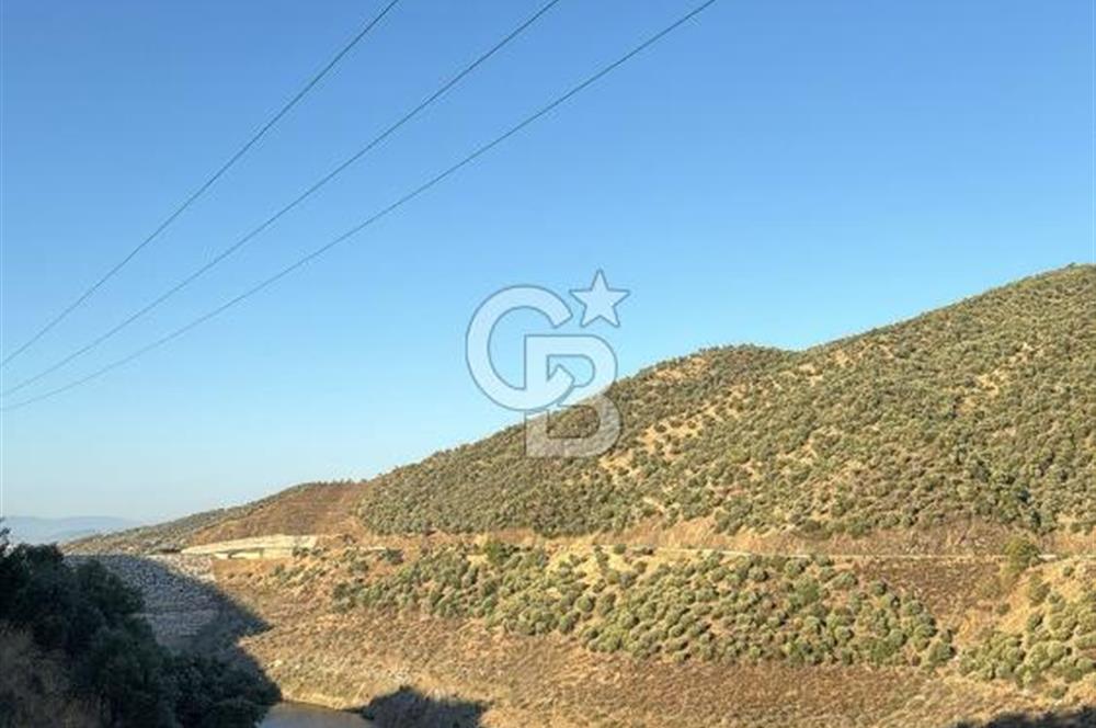 Bayındır'da Çift Yola Cepheli SatılıK 2263 M2 Zeytinlik