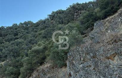 Bayındır'da Çift Yola Cepheli SatılıK 2263 M2 Zeytinlik