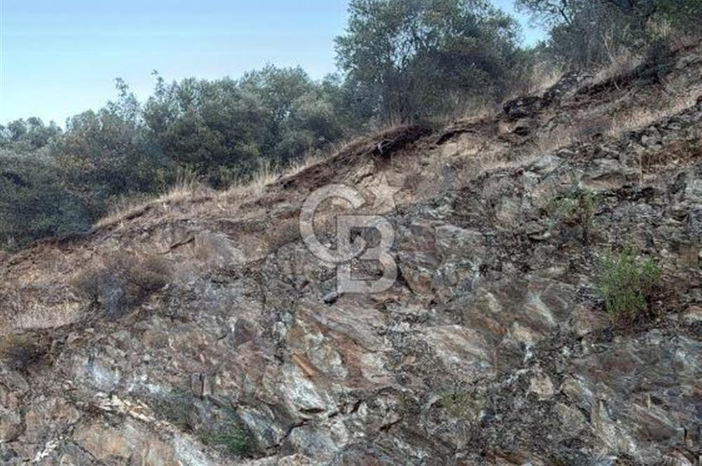 Bayındır'da Çift Yola Cepheli SatılıK 2263 M2 Zeytinlik