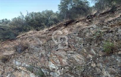 Bayındır'da Çift Yola Cepheli SatılıK 2263 M2 Zeytinlik