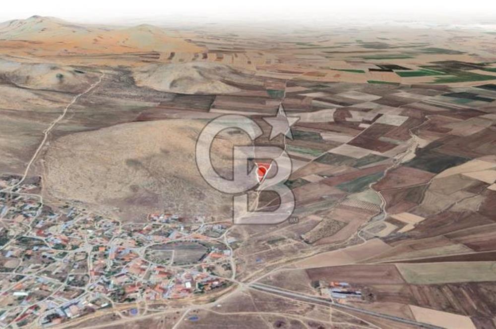 Konya Ilgın Büyükoba'da 300 Adet Badem Ağaçlı 10 Dönüm Bahçe