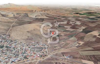 Konya Ilgın Büyükoba'da 300 Adet Badem Ağaçlı 10 Dönüm Bahçe