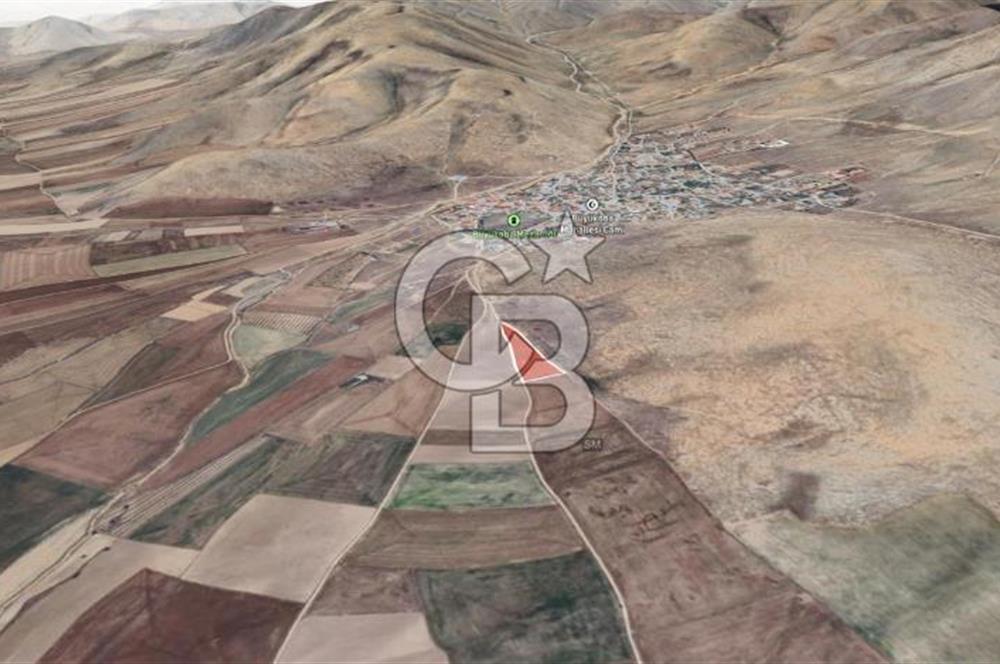 Konya Ilgın Büyükoba'da 300 Adet Badem Ağaçlı 10 Dönüm Bahçe