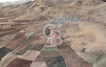 Konya Ilgın Büyükoba'da 300 Adet Badem Ağaçlı 10 Dönüm Bahçe