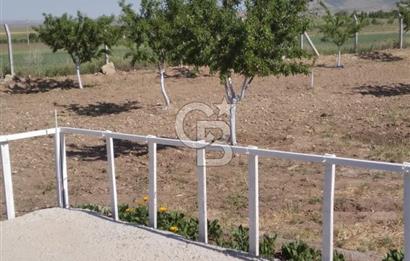 Konya Ilgın Büyükoba'da 300 Adet Badem Ağaçlı 10 Dönüm Bahçe