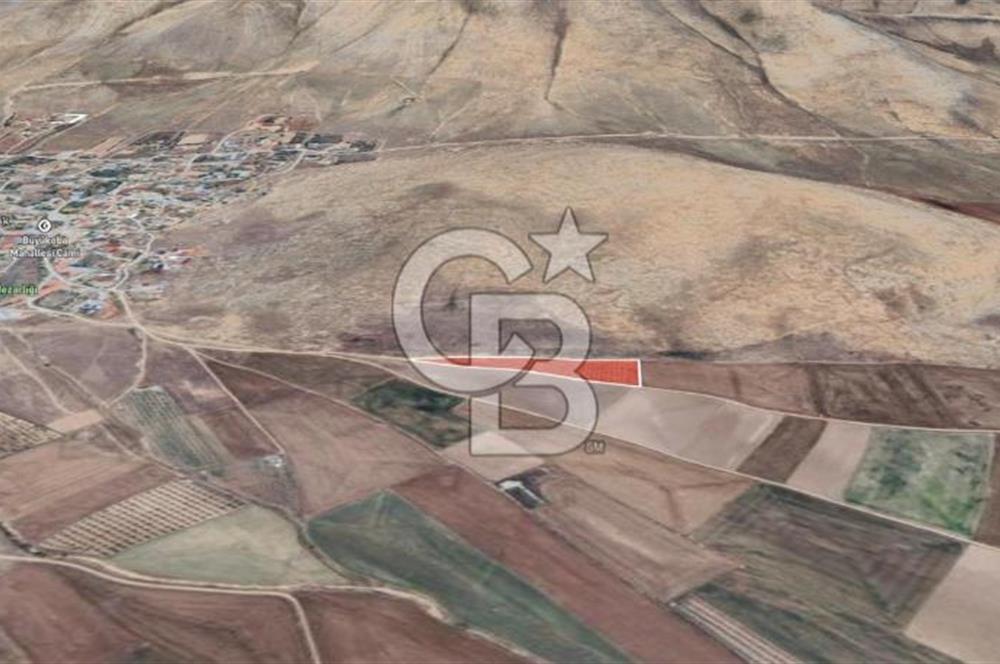 Konya Ilgın Büyükoba'da 300 Adet Badem Ağaçlı 10 Dönüm Bahçe