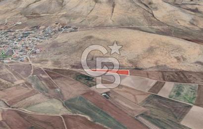 Konya Ilgın Büyükoba'da 300 Adet Badem Ağaçlı 10 Dönüm Bahçe