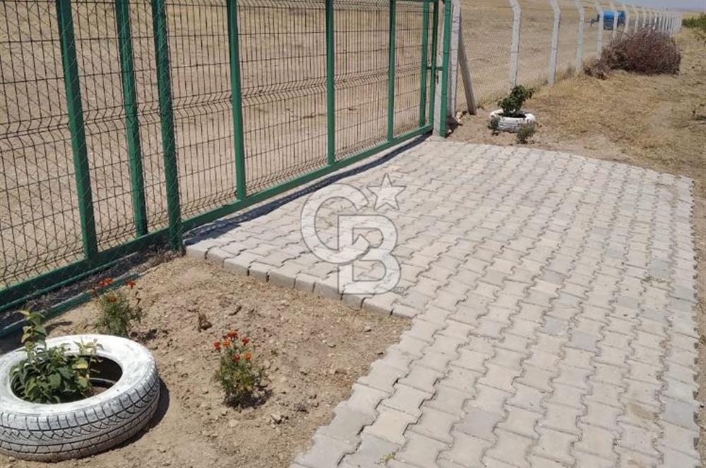 Konya Ilgın Büyükoba'da 300 Adet Badem Ağaçlı 10 Dönüm Bahçe