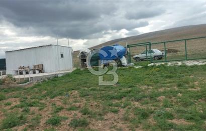 Konya Ilgın Büyükoba'da 300 Adet Badem Ağaçlı 10 Dönüm Bahçe