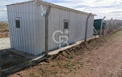 Konya Ilgın Büyükoba'da 300 Adet Badem Ağaçlı 10 Dönüm Bahçe