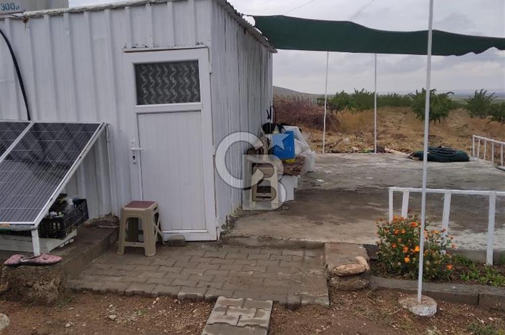 Konya Ilgın Büyükoba'da 300 Adet Badem Ağaçlı 10 Dönüm Bahçe
