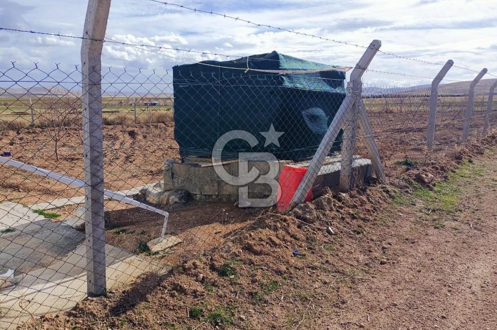Konya Ilgın Büyükoba'da 300 Adet Badem Ağaçlı 10 Dönüm Bahçe