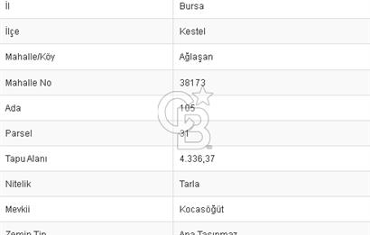 CB BLACK'TEN KESTEL AĞLAŞAN SATILIK 4336M2 ARAZİ