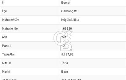CB BLACK'TEN KÜÇÜKDELİLLER KÖYÜ SATILIK 5727M2 ARAZİ