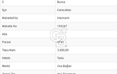 CB BLACK'TAN KARACABEY HARMANLI'DA 3800 M2 SATILIK TARLA