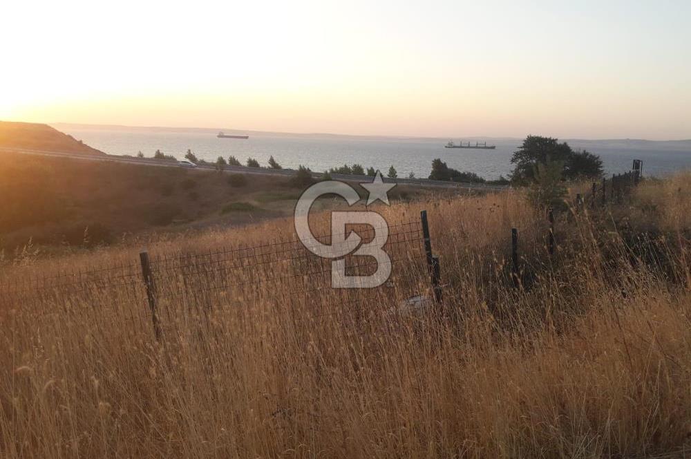 ÇANAKKALE LAPSEKİ ŞEVKETİYEDE SATILIK ARAZİ 