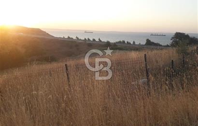 ÇANAKKALE LAPSEKİ ŞEVKETİYEDE SATILIK ARAZİ 