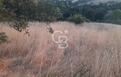 ÇANAKKALE LAPSEKİ ŞEVKETİYEDE SATILIK ARAZİ 