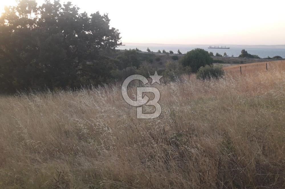 ÇANAKKALE LAPSEKİ ŞEVKETİYEDE SATILIK ARAZİ 