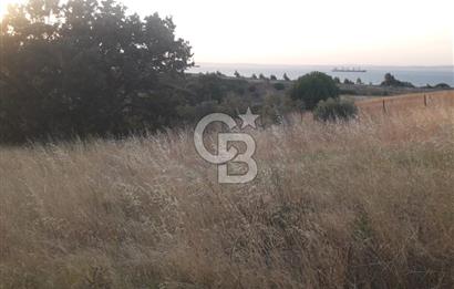 ÇANAKKALE LAPSEKİ ŞEVKETİYEDE SATILIK ARAZİ 