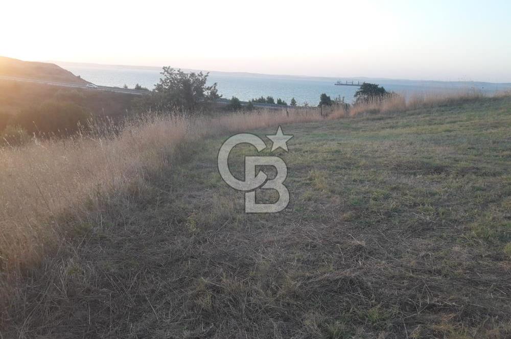 ÇANAKKALE LAPSEKİ ŞEVKETİYEDE SATILIK ARAZİ 