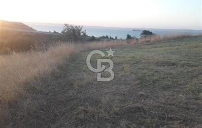 ÇANAKKALE LAPSEKİ ŞEVKETİYEDE SATILIK ARAZİ 