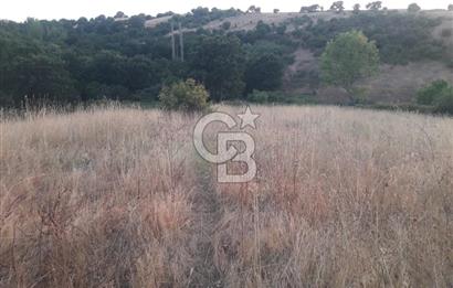 ÇANAKKALE LAPSEKİ ŞEVKETİYEDE SATILIK ARAZİ 