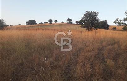 ÇANAKKALE LAPSEKİ ŞEVKETİYEDE SATILIK ARAZİ 
