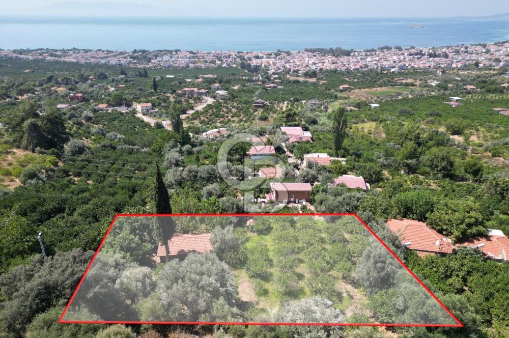 Menderes özderede denize yakın konumda 2213m2  Tarla
