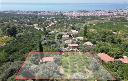 Menderes özderede denize yakın konumda 2213m2  Tarla