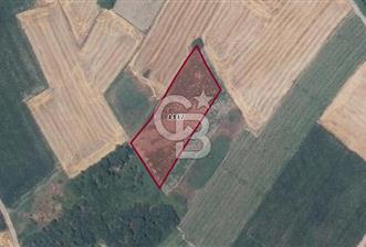 CB BLACK'TAN KARACABEY HARMANLI'DA 3800 M2 SATILIK TARLA