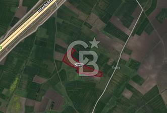 CB BLACK'TAN KARACABEY HARMANLI'DA SATILIK TARLA