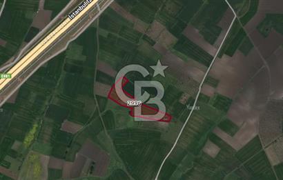 CB BLACK'TAN KARACABEY HARMANLI'DA SATILIK TARLA