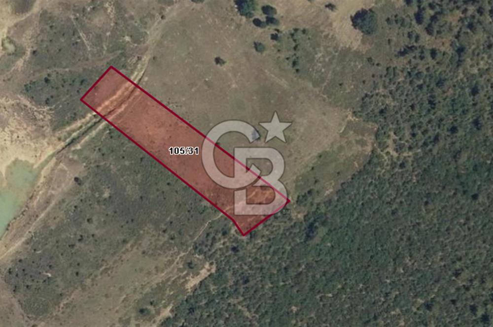CB BLACK'TEN KESTEL AĞLAŞAN SATILIK 4336M2 ARAZİ