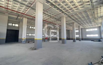 Deliklikaya Teskoopta 7750 m2 Müstakil Fabrika