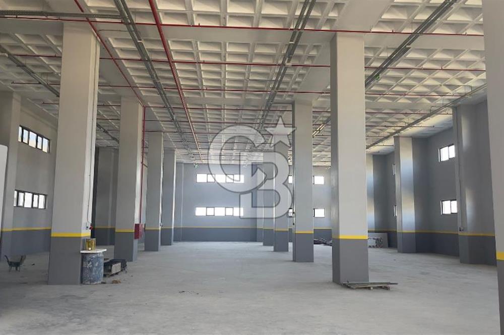 Deliklikaya Teskoopta 7750 m2 Müstakil Fabrika