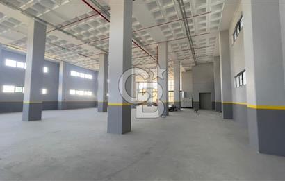 Deliklikaya Teskoopta 7750 m2 Müstakil Fabrika